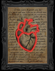 Cuore